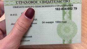Для чего работодатель просит СНИЛС в ЕКА