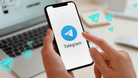 Как добавить контакт в Telegram по QR-коду в ЕКА