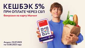 Как использовать СБП для оплаты в Магните в ЕКА