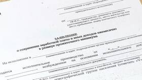 Как написать заявление о сохранении прожиточного минимума в ЕКА