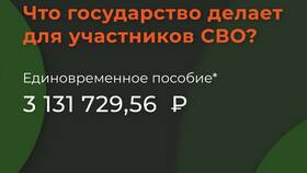Как оформить выплаты детям участников СВО в ЕКА