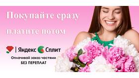 Как расплатиться через Яндекс Сплит в ЕКА