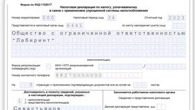 Как сдать налоговую декларацию ИП на УСН в ЕКА