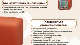 Как стать официальным самозанятым в ЕКА