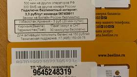 Как узнать номер SIM-карты Билайн в ЕКА