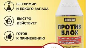 Как вывести домашних блох в доме в ЕКА