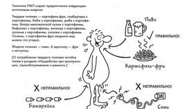 Мужчины: инструкция по применению в ЕКА
