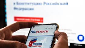 Почему не принимают Госуслуги вместо паспорта в ЕКА