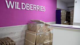 Почему Wildberries ввел платную доставку в ЕКА