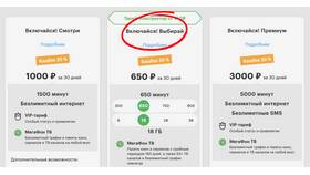 Сколько стоит интернет Мегафон в ЕКА