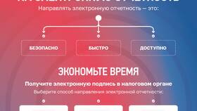 Создание ИП: какие платежи и налоги необходимо учитывать в ЕКА