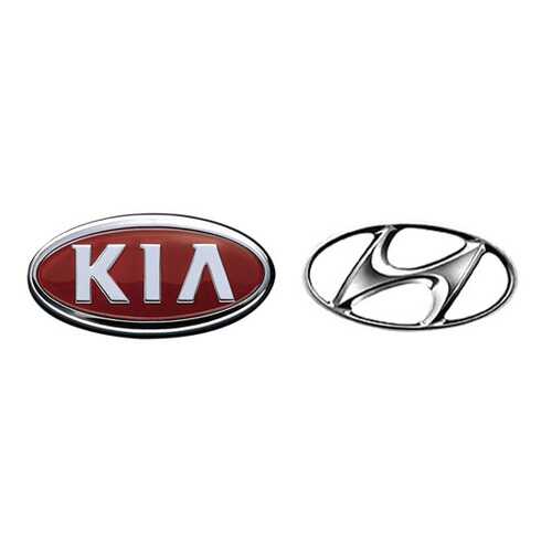 Форсунка омывателя Hyundai-KIA 986304E000 в ЕКА