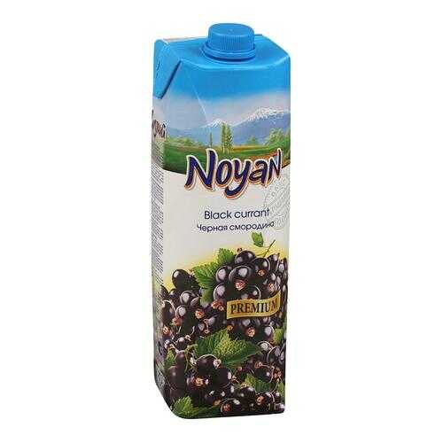 Черная смородина-виноград нектар Noyan premium 1 л в ЕКА